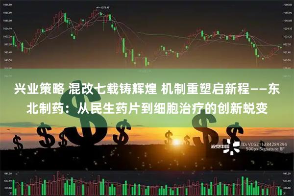 兴业策略 混改七载铸辉煌 机制重塑启新程——东北制药:从民生药片到细胞治疗的创新蜕变
