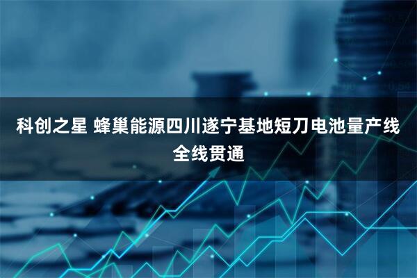 科创之星 蜂巢能源四川遂宁基地短刀电池量产线全线贯通