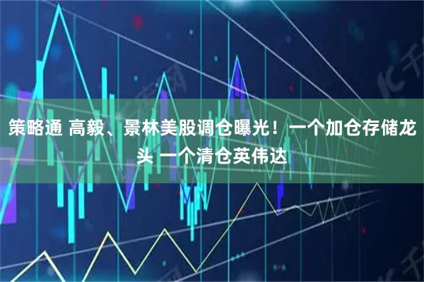策略通 高毅、景林美股调仓曝光！一个加仓存储龙头 一个清仓英伟达