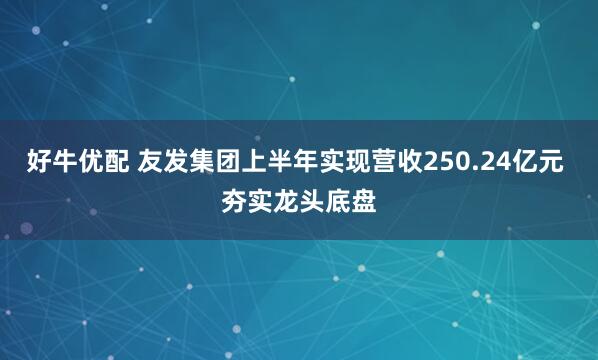 好牛优配 友发集团上半年实现营收250.24亿元 夯实龙头底盘
